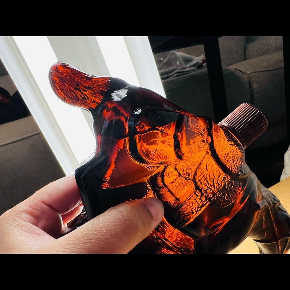 Avon Pony Rider - Picture 13 of 13